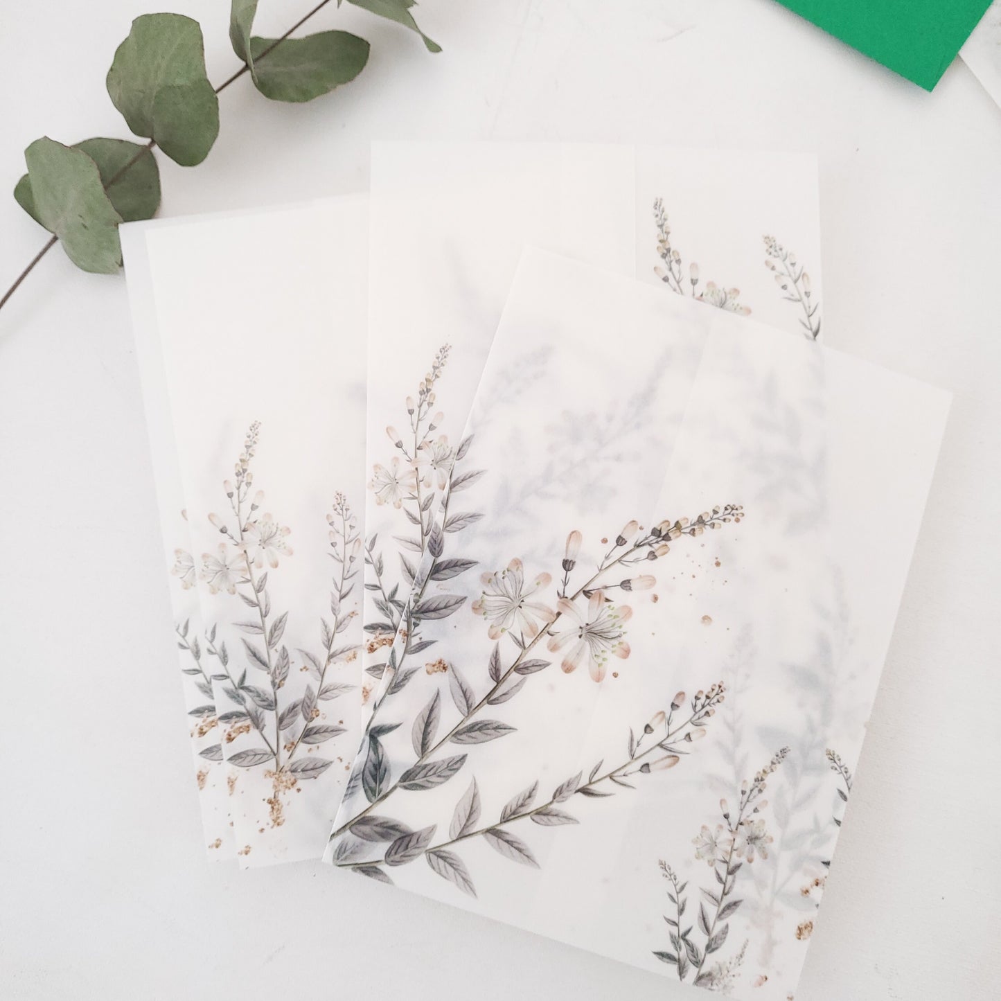 lavender vellum jacket for wedding invitations - XOXOKristen