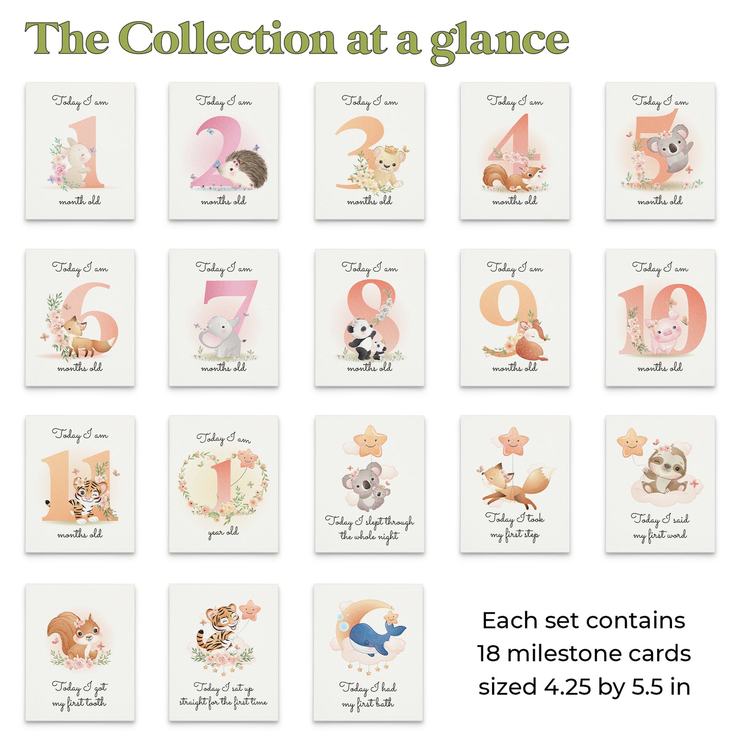 pack of 18 baby milestone cards - XOXOKristen