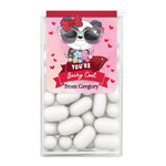 XOXOKristen Tic Tac box sticker with cartoon panda bear wearing red bow and sunglasses, “You’re Beary Cool” text, pink background with hearts – XOXOKristen