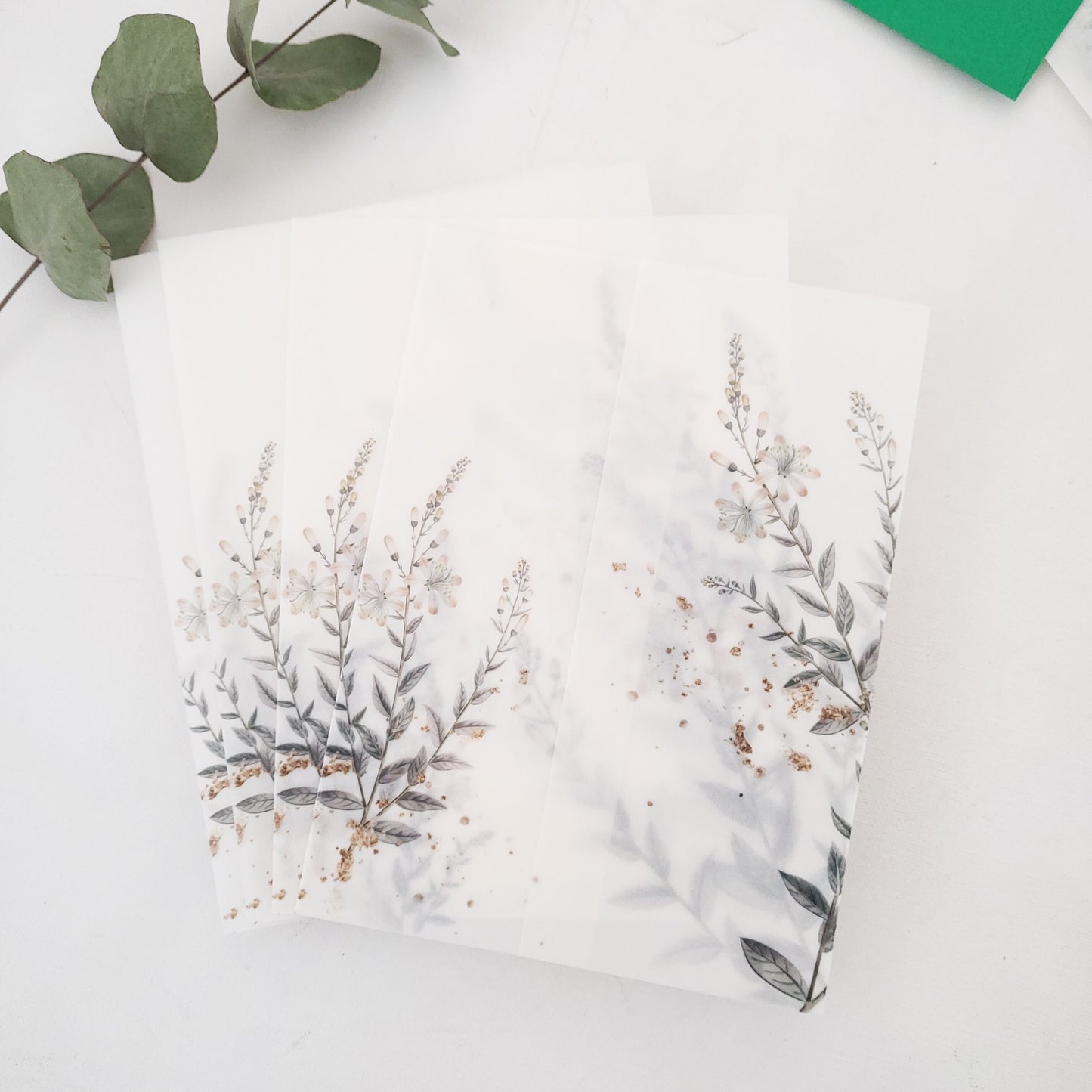 lavender vellum jacket for wedding invitations - XOXOKristen
