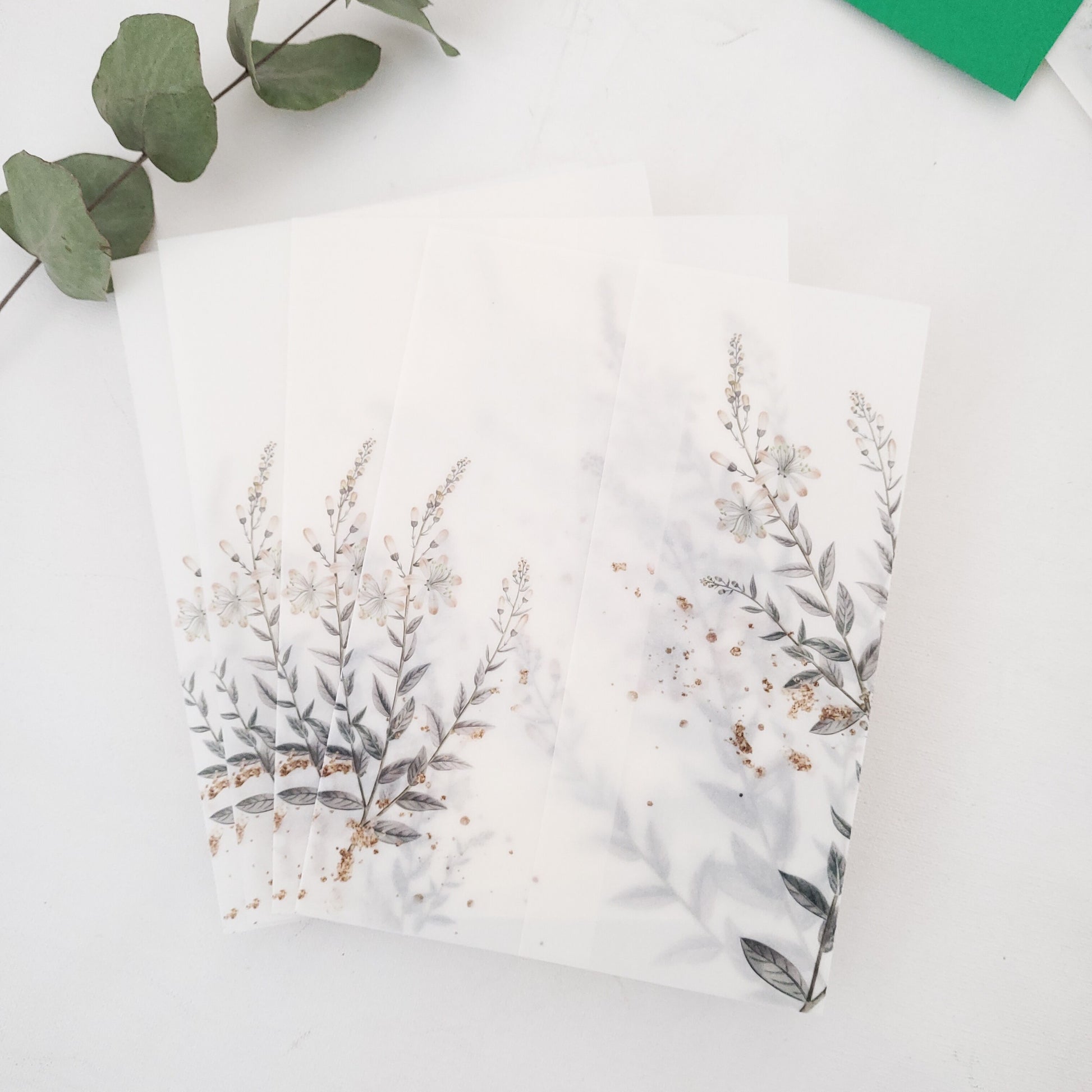 lavender vellum jacket for wedding invitations - XOXOKristen