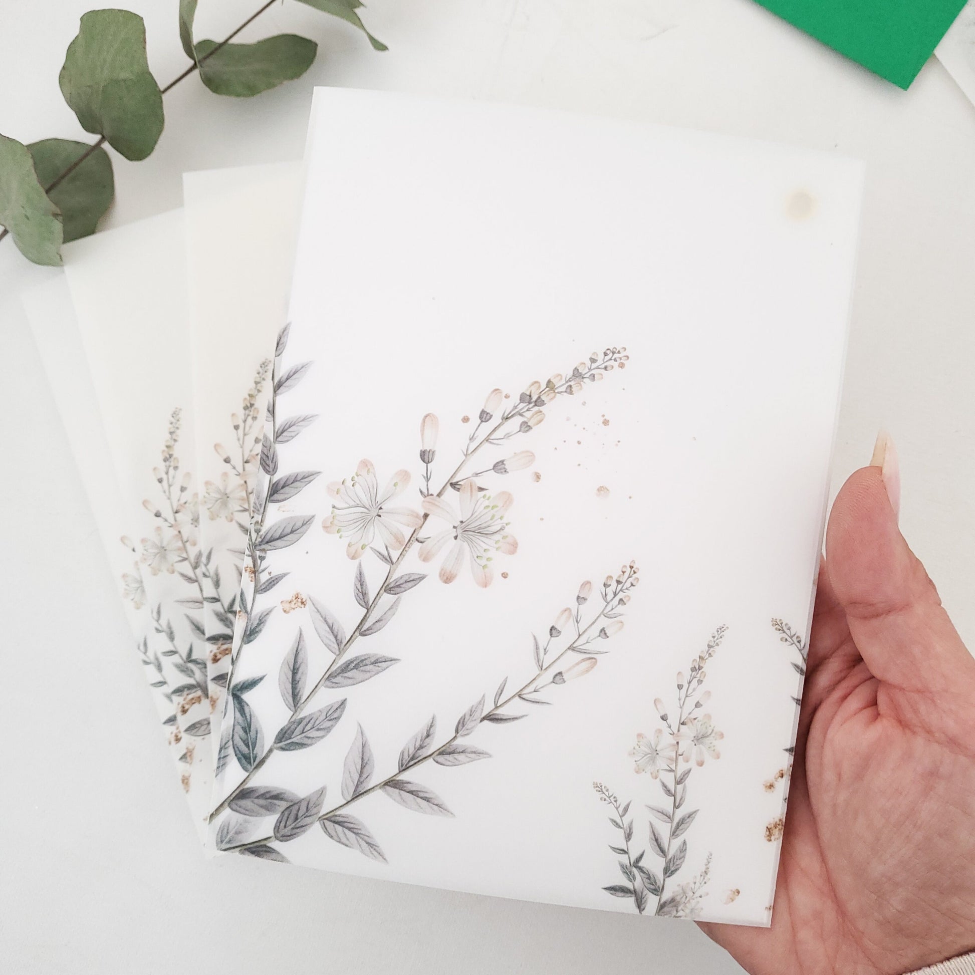 lavender vellum jacket for wedding invitations - XOXOKristen