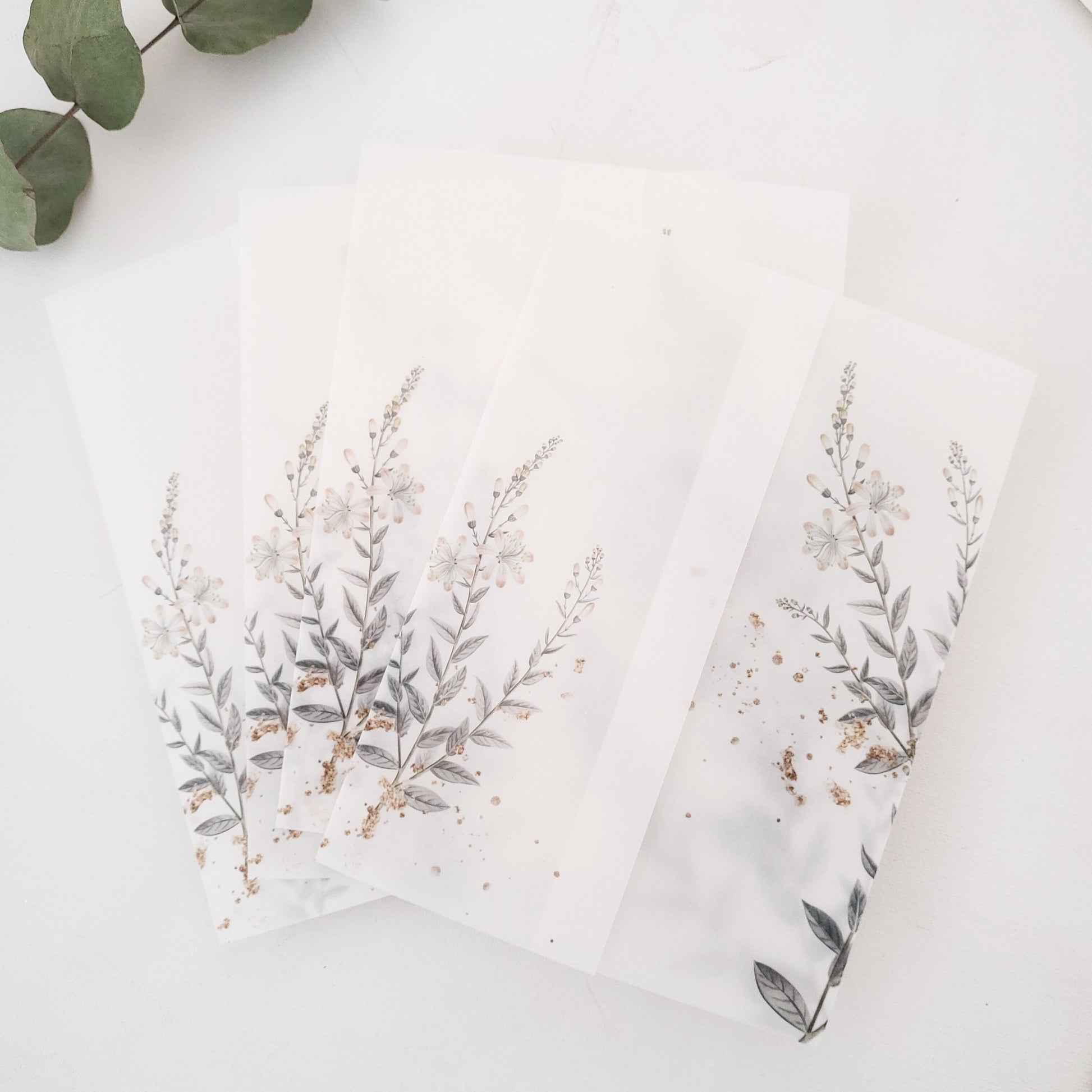 lavender vellum jacket for wedding invitations - XOXOKristen