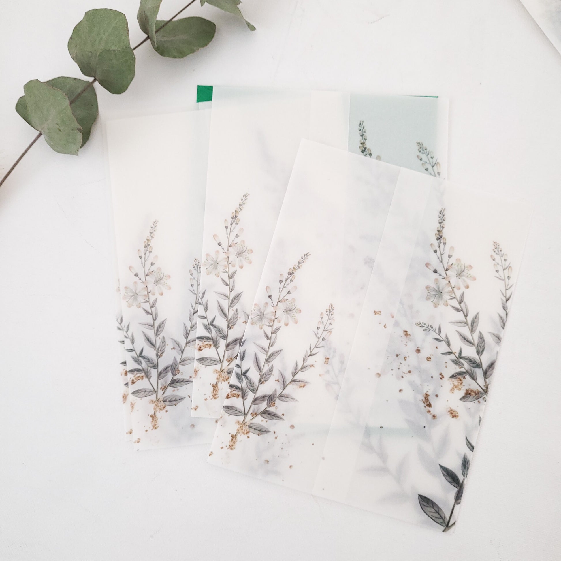 lavender vellum jacket for wedding invitations - XOXOKristen