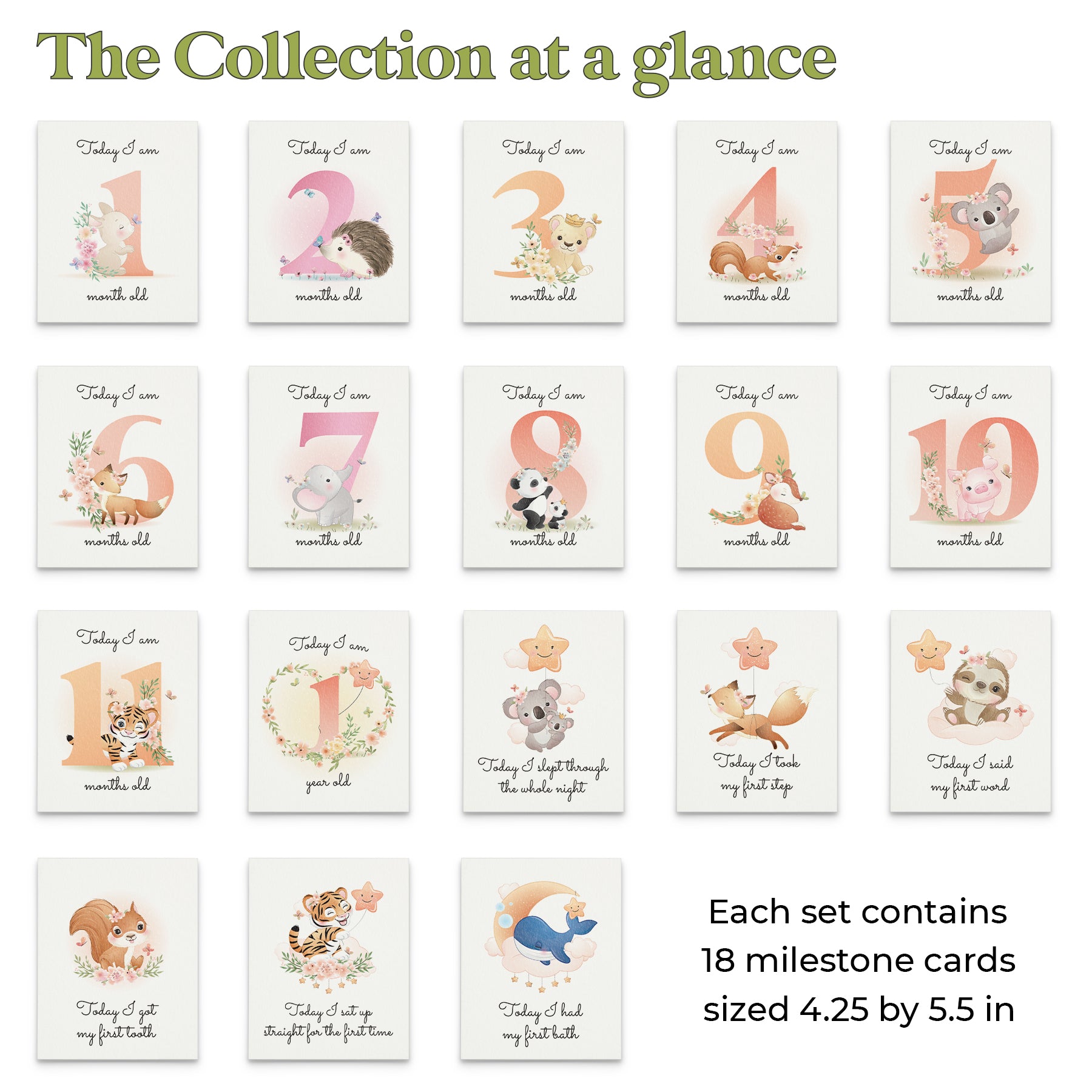 pack of 18 baby milestone cards - XOXOKristen