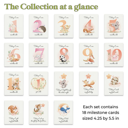 pack of 18 baby milestone cards - XOXOKristen