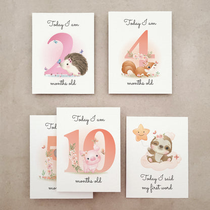 pack of 18 baby milestone cards - XOXOKristen