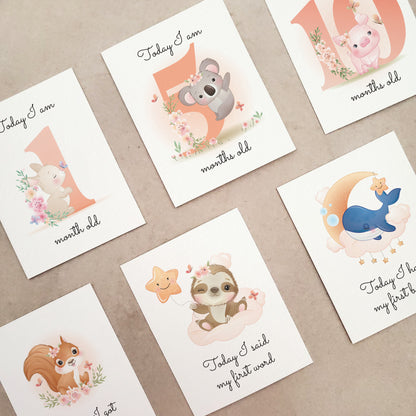 pack of 18 baby milestone cards - XOXOKristen