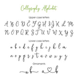 Olive Branch Wedding Thank you Stickers - XOXOKristen