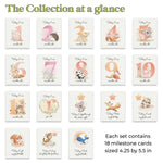 Pack of Baby Milestone Cards - XOXOKristen