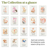Pack of Baby Milestone Cards - XOXOKristen