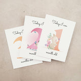 Pack of Baby Milestone Cards - XOXOKristen